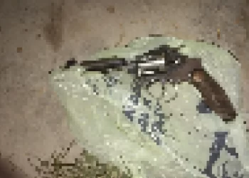 Detuvieron a un hombre tras realizar disparos al aire en Santa Lucía