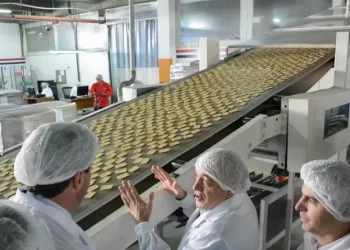 San Juan presentó un relevamiento de su industria manufacturera: empleo, sectores clave e innovación