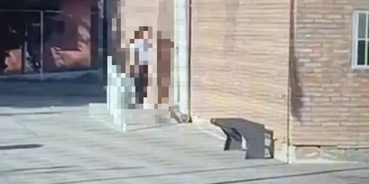 Qué pasó con la nena que entró armada a la escuela y realizó disparos