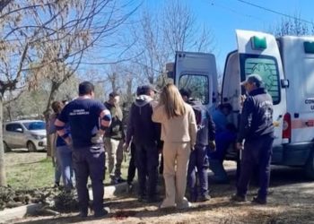 Murió un operario que cayó desde un hidroelevador mientras podaba