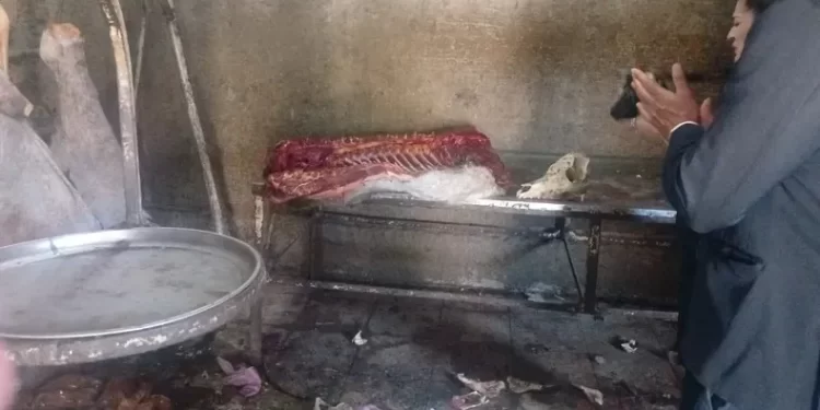 Horror: vendían carne de caballo como si fuera de vaca