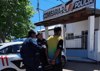 Lo filmaron robando un martillo y terminó detenido
