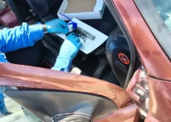 Un pastor armado amenazó a varias personas: le secuestraron armas y municiones