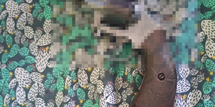 Dos jóvenes fueron detenidos tras intentar robar en una vivienda