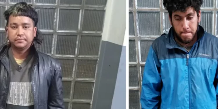 Violenta agresión: dos hombres golpearon a una mujer y dañaron una vivienda antes de ser detenidos