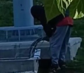 Inaudito robo en plena Circunvalación: delincuente dejó fuera de servicio un panel solar recién instalado