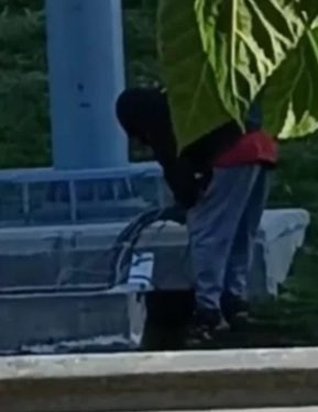 Inaudito robo en plena Circunvalación: delincuente dejó fuera de servicio un panel solar recién instalado