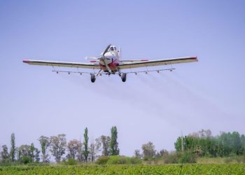 San Juan inicia la campaña aérea para combatir la polilla de la vid