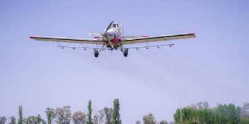San Juan inicia la campaña aérea para combatir la polilla de la vid