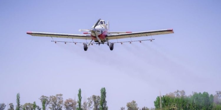 San Juan inicia la campaña aérea para combatir la polilla de la vid