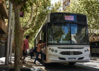 RedTulum informó que se extiende el plazo de validez de los pases de discapacidad