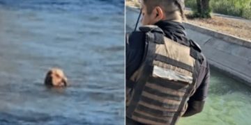Crueldad en San Martín: arrojaron a un perro atado a un canal y la policía lo salvó