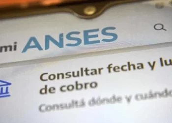 Aguinaldo Anses en diciembre 2025: ¿cuándo se activa el pago?