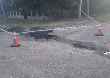 Un niño andaba a caballo, el animal pisó un cable y murió electrocutado
