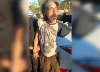 Detuvieron a un hombre armado y a un menor por robos en distintos operativos policiales