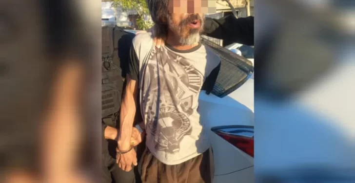 Detuvieron a un hombre armado y a un menor por robos en distintos operativos policiales