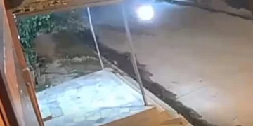 Hombre mató al novio de su exmujer