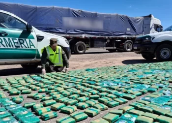 Incautan más de 306 kilos de hojas de coca Caucete