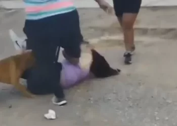 Feroz pelea entre dos mujeres en plena calle
