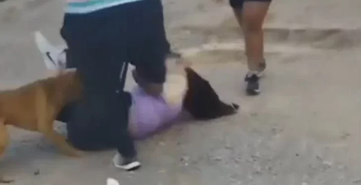 Feroz pelea entre dos mujeres en plena calle