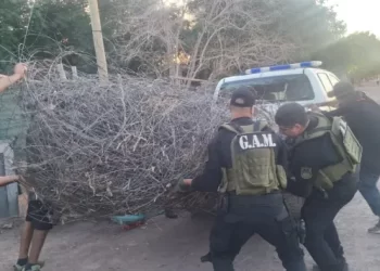 Recuperan 1.000 kilos de alambre robado de una finca