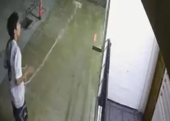 Hombre quedó grabado robando luces navideñas