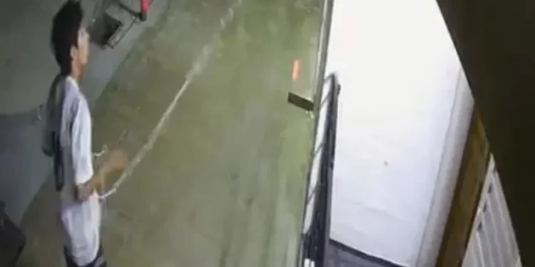 Hombre quedó grabado robando luces navideñas