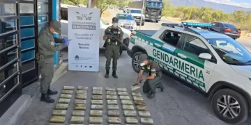 Cae cargamento de 65 kilos de marihuana en un colectivo que tenía a San Juan como escala