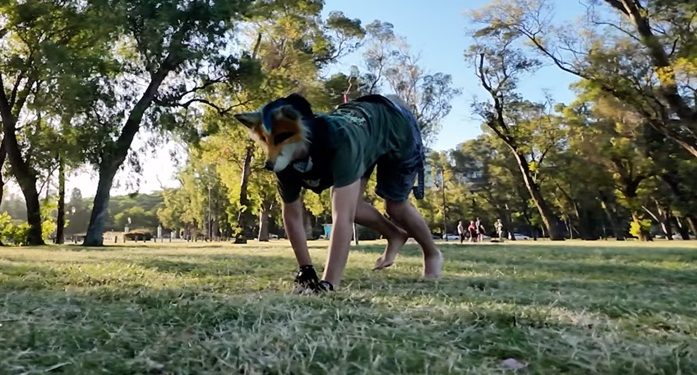 Hombre se identifica como un zorro