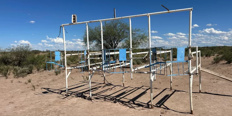 Operativo en 25 de Mayo: frenan carreras de caballos fuera de la ley