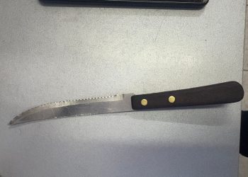 Detuvieron a un joven acusado de robar un celular a un obrero