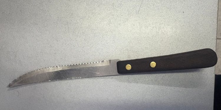 Detuvieron a un joven acusado de robar un celular a un obrero