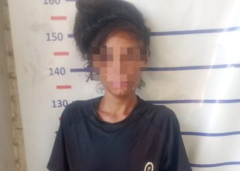 Detuvieron a una mujer por robar un celular de un auto