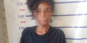 Detuvieron a una mujer por robar un celular de un auto