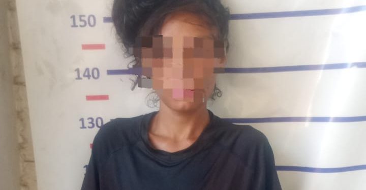 Detuvieron a una mujer por robar un celular de un auto