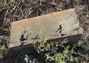 Vecinos atrapan a ladrón y la policía lo salva de los golpes tras un robo