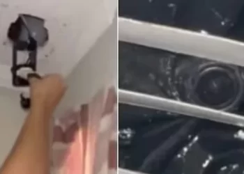 Detuvieron al dueño de un complejo por filmar a estudiantes