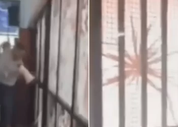 Alumnos se emborracharon en su último día de clases y destrozaron su escuela