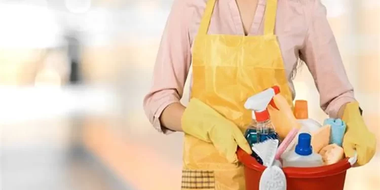 Gobierno oficializó aumentos para empleadas domésticas en noviembre y diciembre