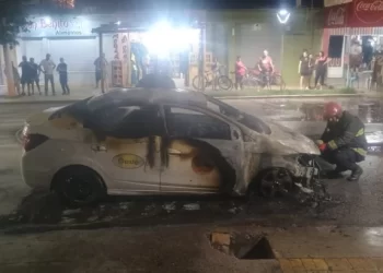 Un remis se incendió por completo en plena vía pública