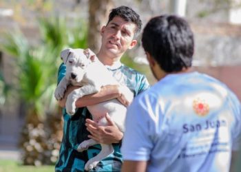 El quirófano móvil sigue recorriendo San Juan con esterilización gratuita