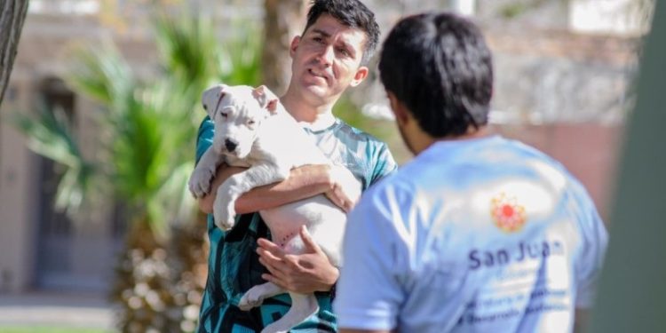 El quirófano móvil sigue recorriendo San Juan con esterilización gratuita