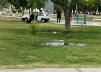 Un auto terminó dentro de una plaza