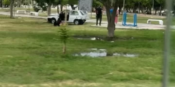 Un auto terminó dentro de una plaza