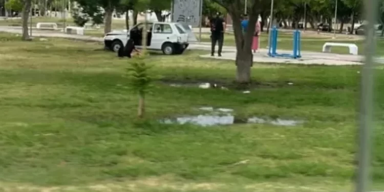 Un auto terminó dentro de una plaza