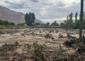 Relevan daños climáticos en uva, olivo y frutales en Zonda