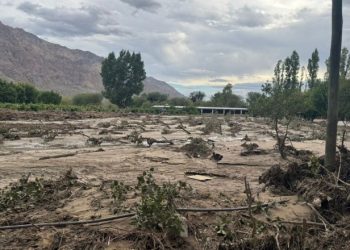 Relevan daños climáticos en uva, olivo y frutales en Zonda