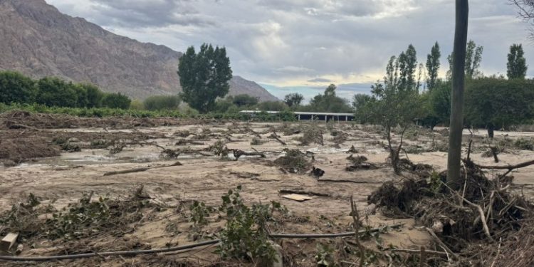 Relevan daños climáticos en uva, olivo y frutales en Zonda