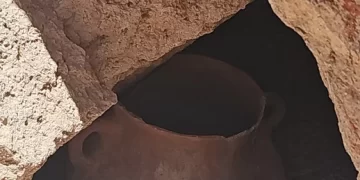 Gentileza Glencore Pachón