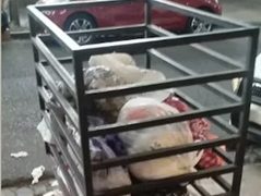 Una policía encontró a la bebé tirada en un tacho de basura